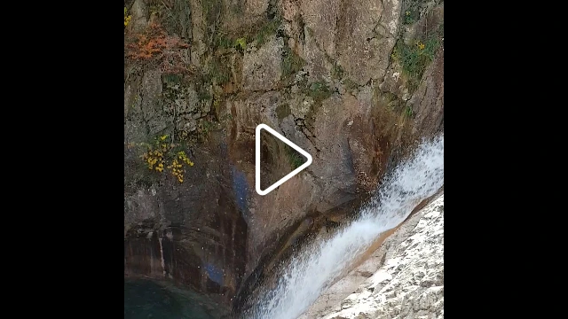 994CE33359E9606828BEB8