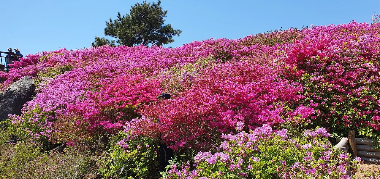 KakaoTalk_Photo_2025-04-26-20-43-32 005.jpeg