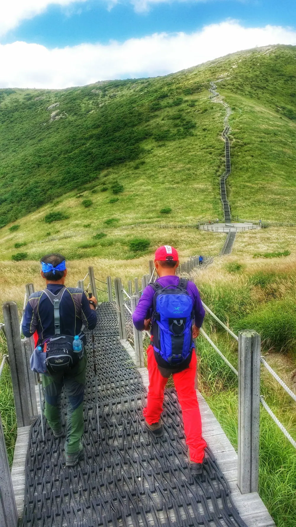 2273993C57D022A606B334