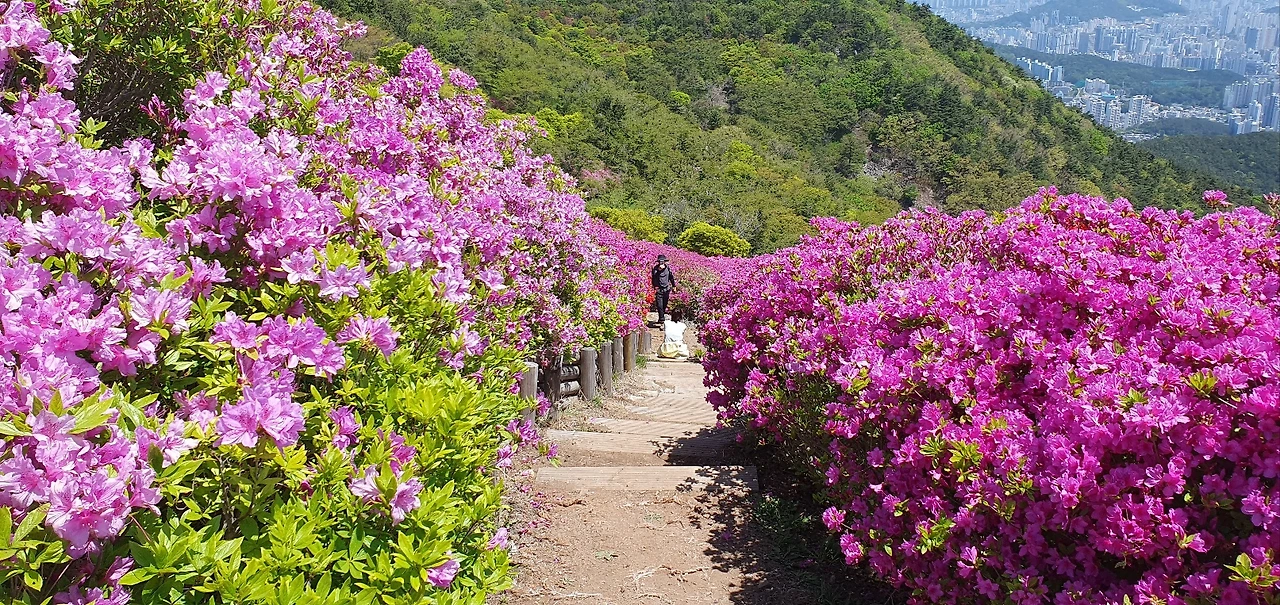 KakaoTalk_Photo_2025-04-26-20-43-36 013.jpeg