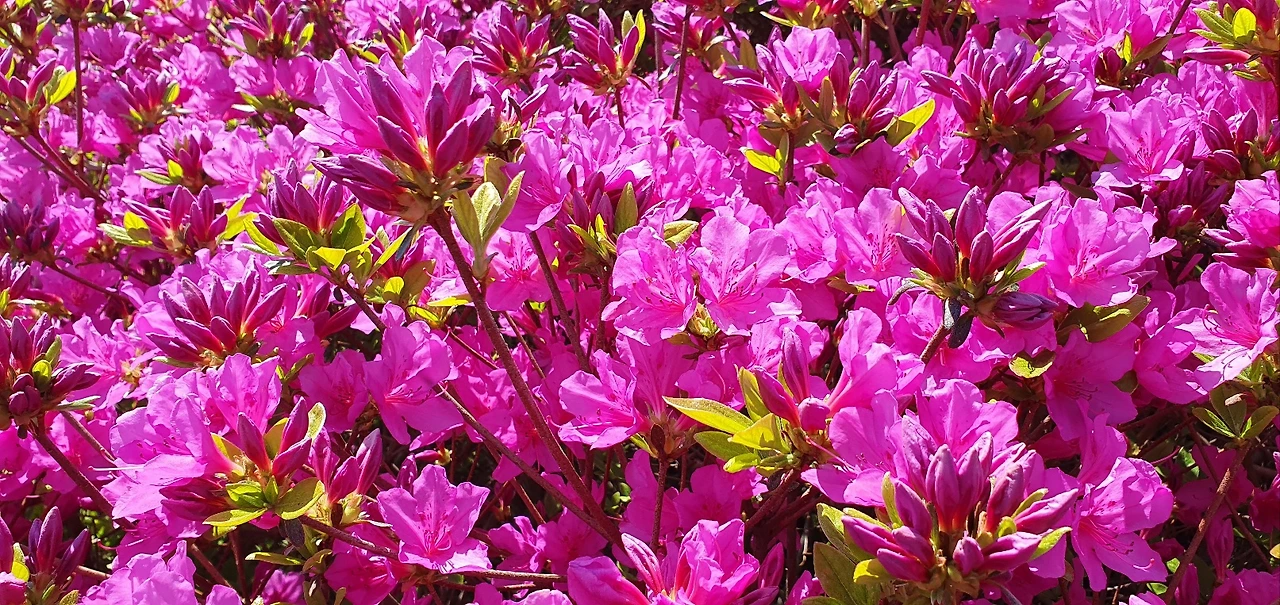 KakaoTalk_Photo_2025-04-26-20-43-34 007.jpeg