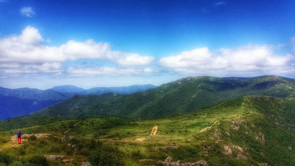 2272F03C57D0229B06564E