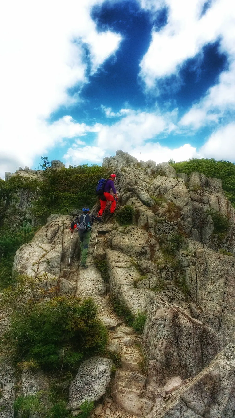 2705883357D0199C36D5B4