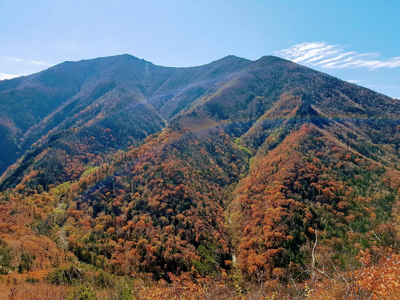 99096A3359E953F223C259