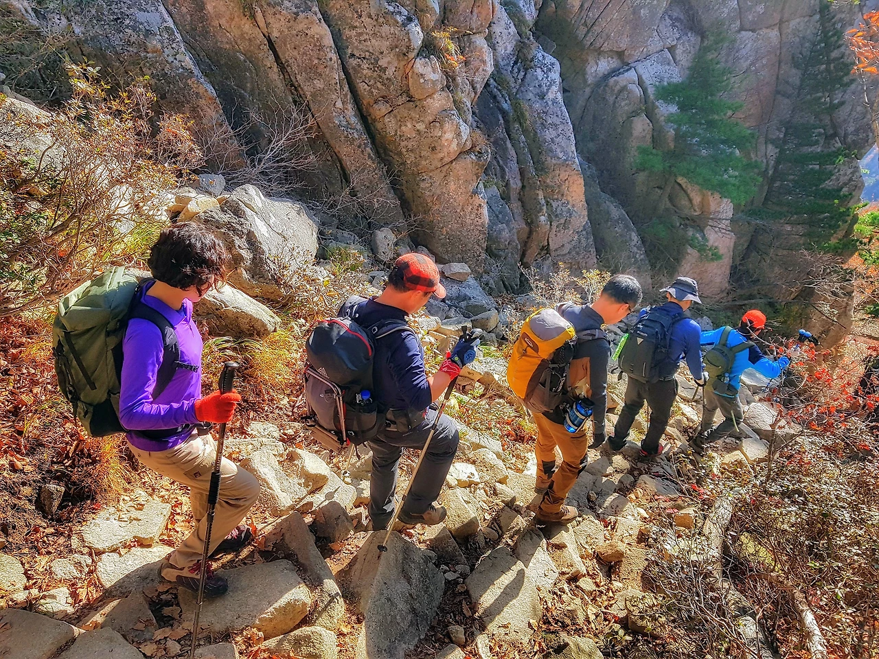 99C5BD3359E93E6B1406F0