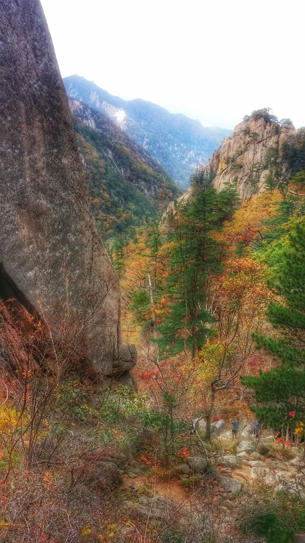 247C503657FDEC411CFB8E