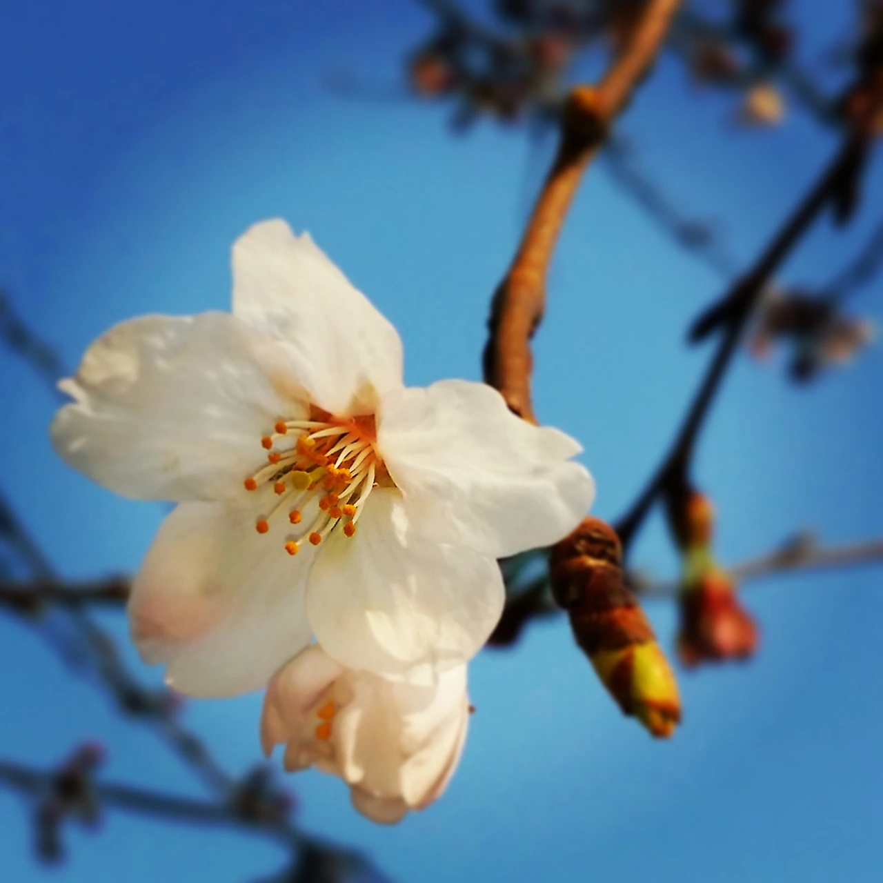 235ECF4B56C3E8C027C18B