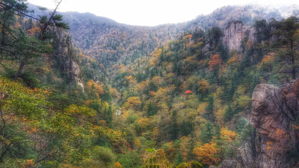 246E0B3657FDEC4824DDD7