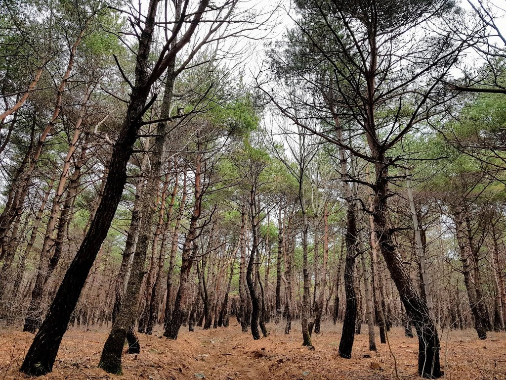 99B87B505AA509C4343A22