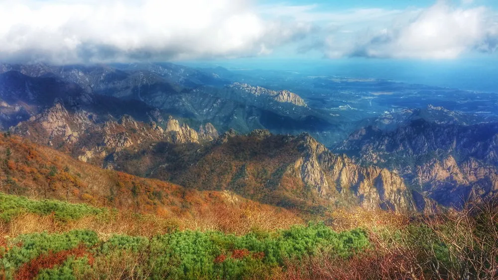 2601E64057FDA5CD2C0B4F