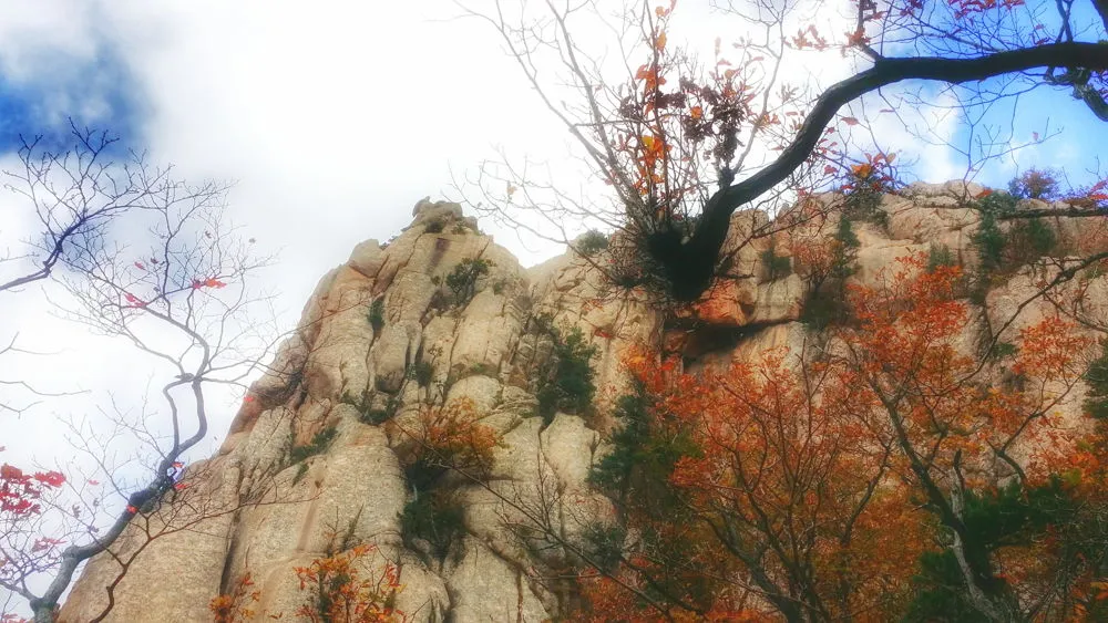 237ACF3657FDEC401D1A26