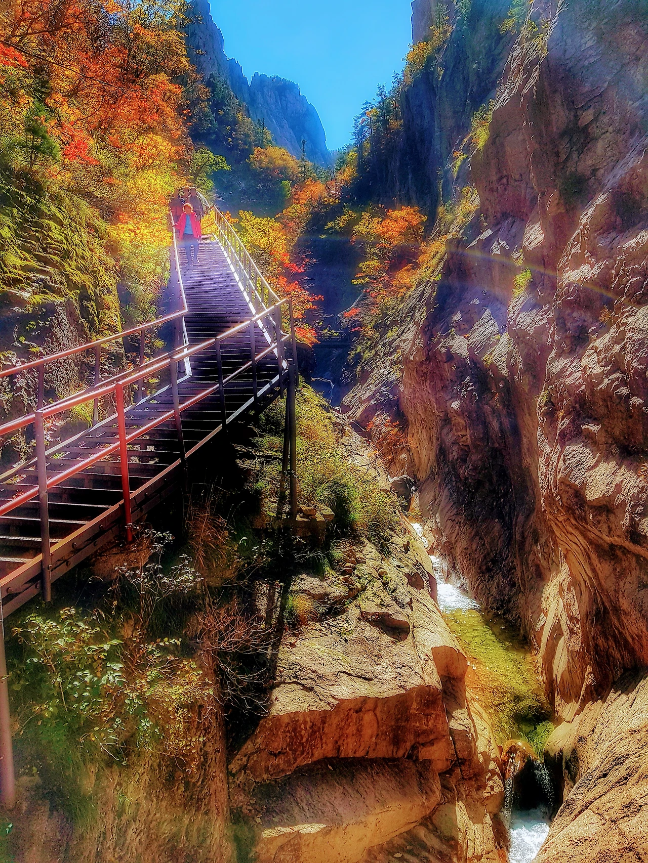 997CF73359E95F1E11F212