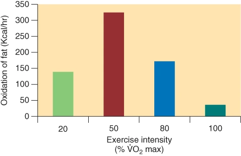 2311F73E55786ABA15B594