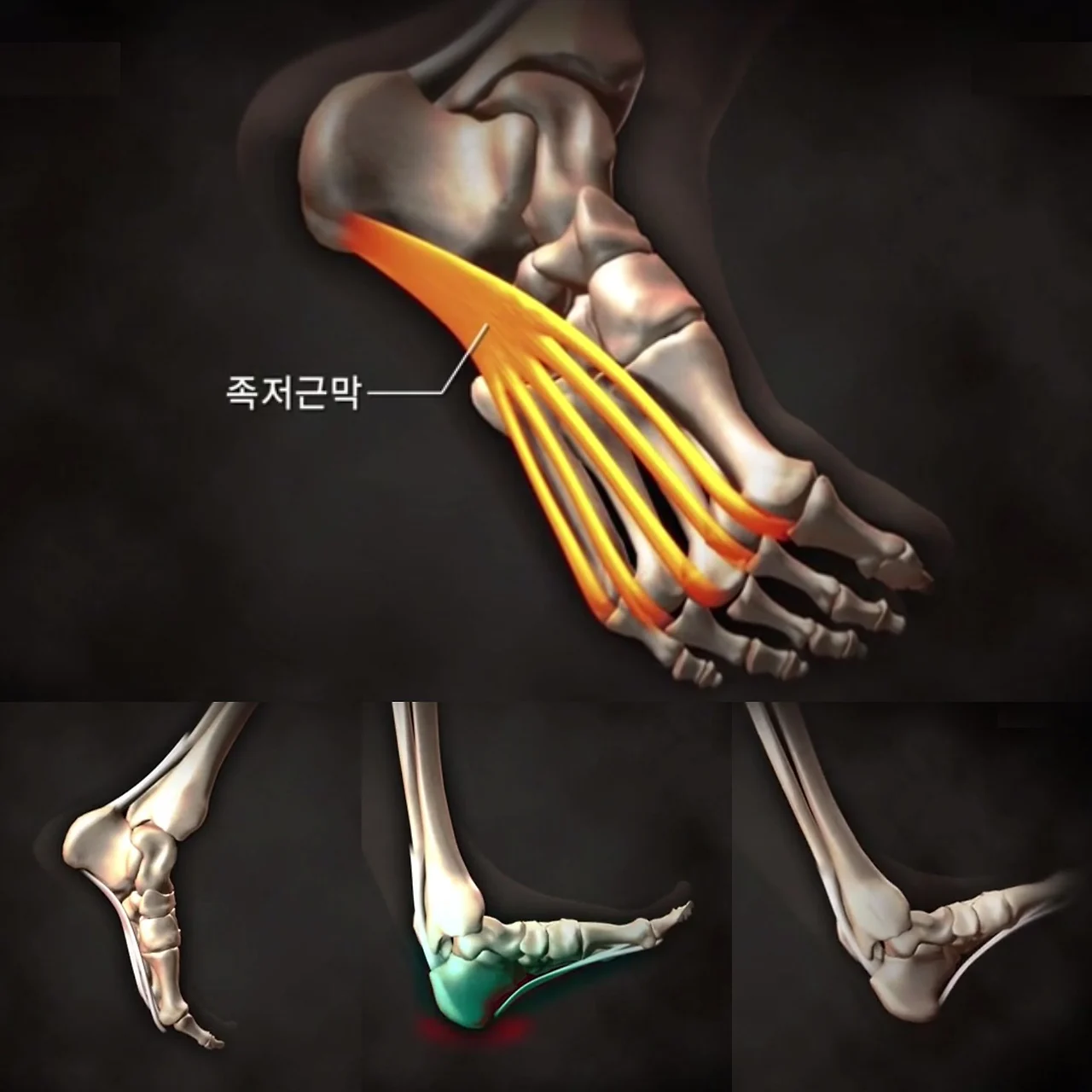 997E6533599EF0202EB68D