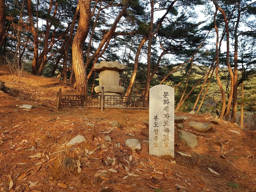 998825345AA5B5A228ED09