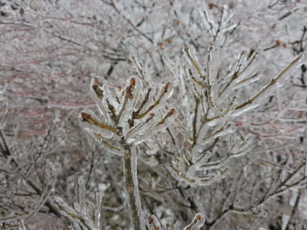 996A3B4F5AA50A172AABE1