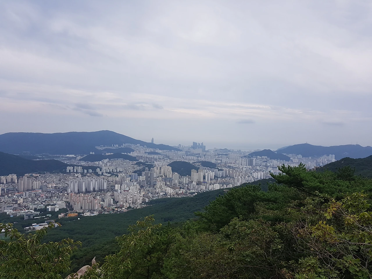 99E2834D5B95E3E628704E