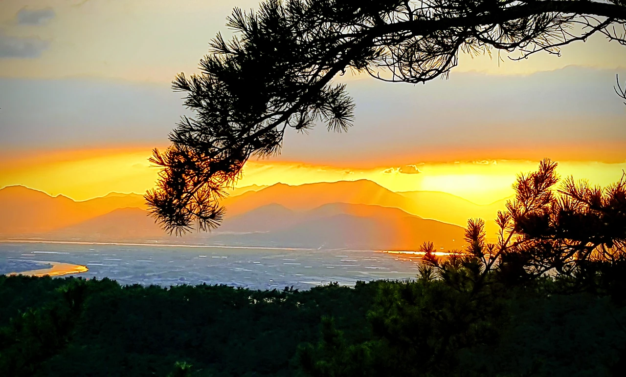 99BE1D365B95AF722AA0BC