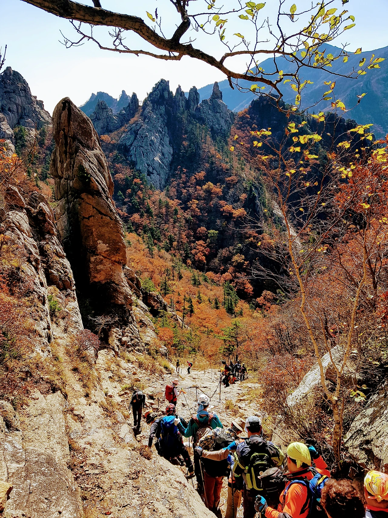 99BA8A3359E948EC089177