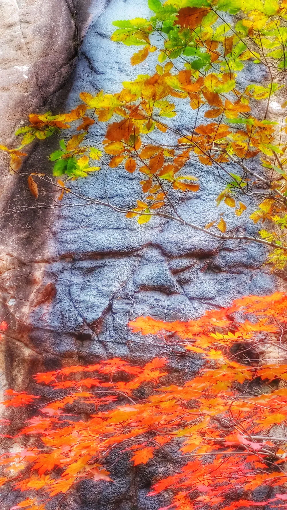 216DAB3657FDEC51259A58