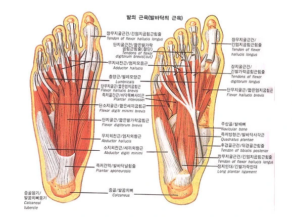 233C7E4E56951541050F13