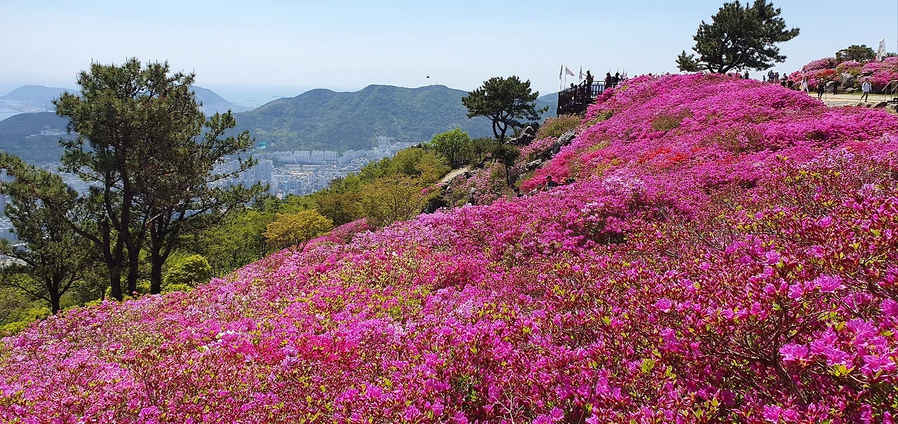 KakaoTalk_Photo_2025-04-26-20-43-32 006.jpeg