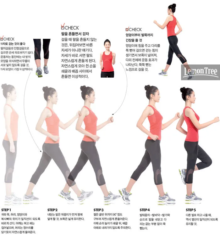 244AA64356C2C69914A682