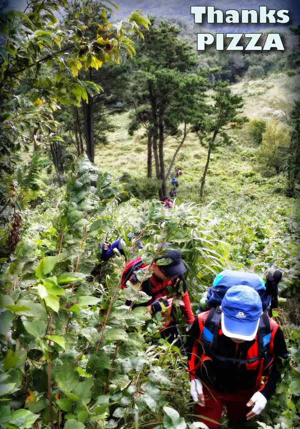 2703DD4956D649761E65B1