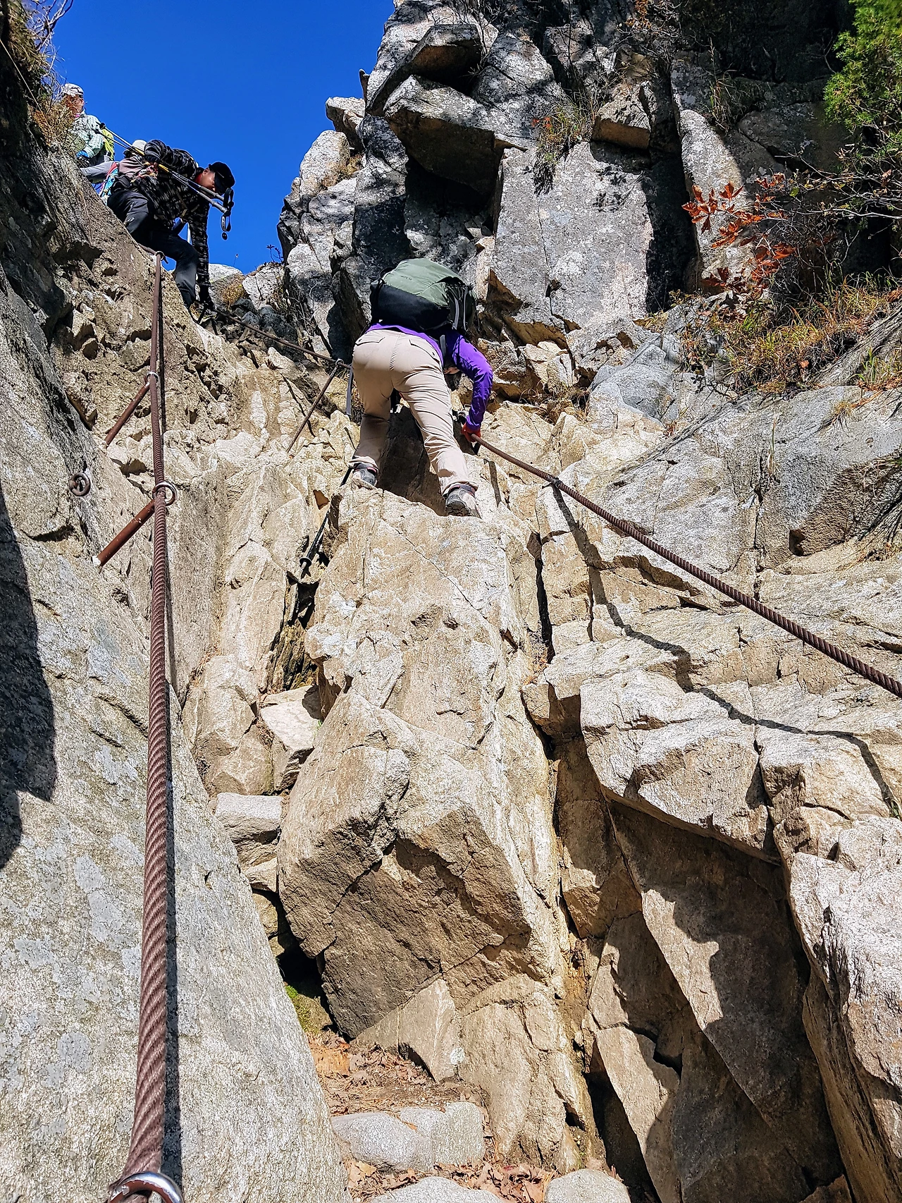 9907473359E93E7210B799