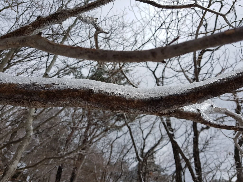 99B5944F5AA509F93645C3