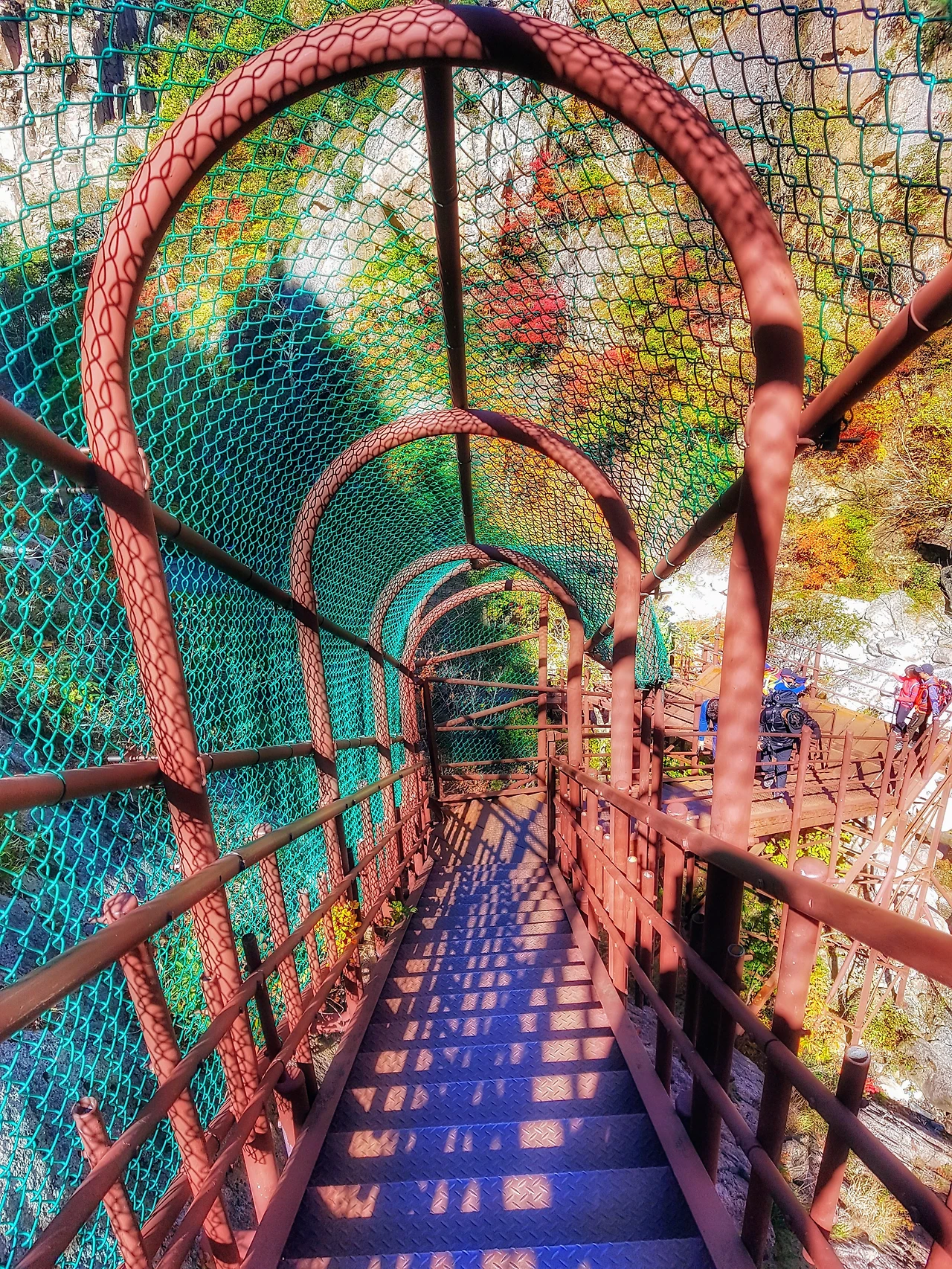 99B4DE3359E95F021348DE