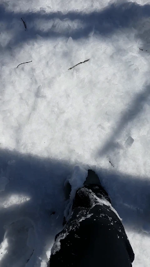 img.jpg?width=640&amp;height=360&amp;face=0_0_640_360