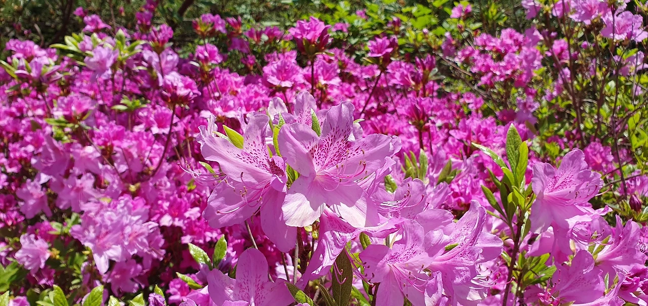 KakaoTalk_Photo_2025-04-26-20-43-37 018.jpeg