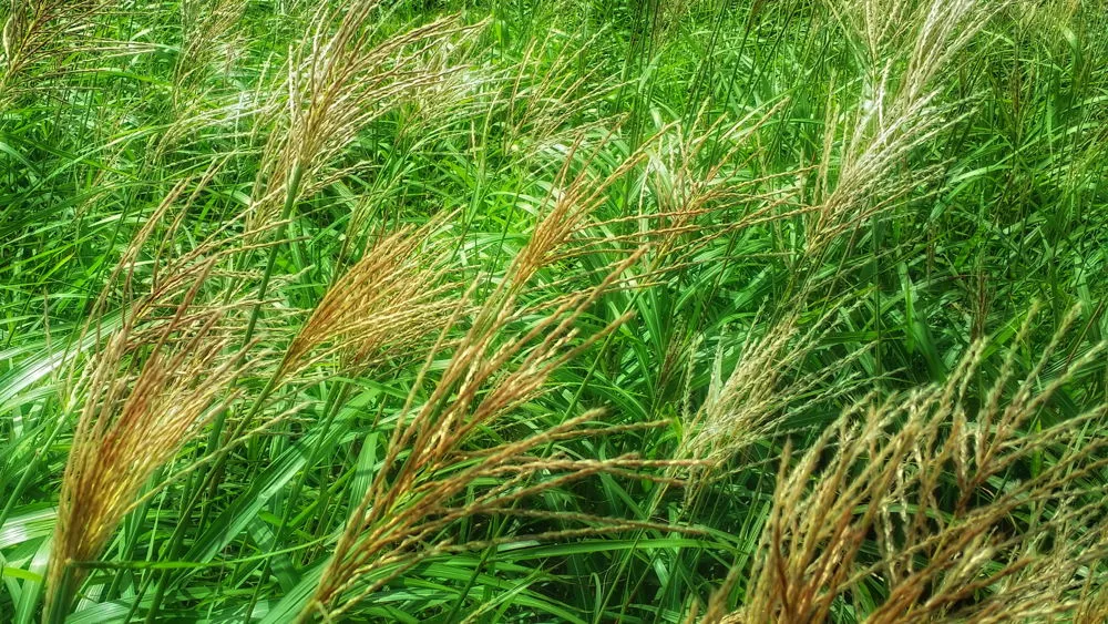 254E173C57D022AC2AF30F