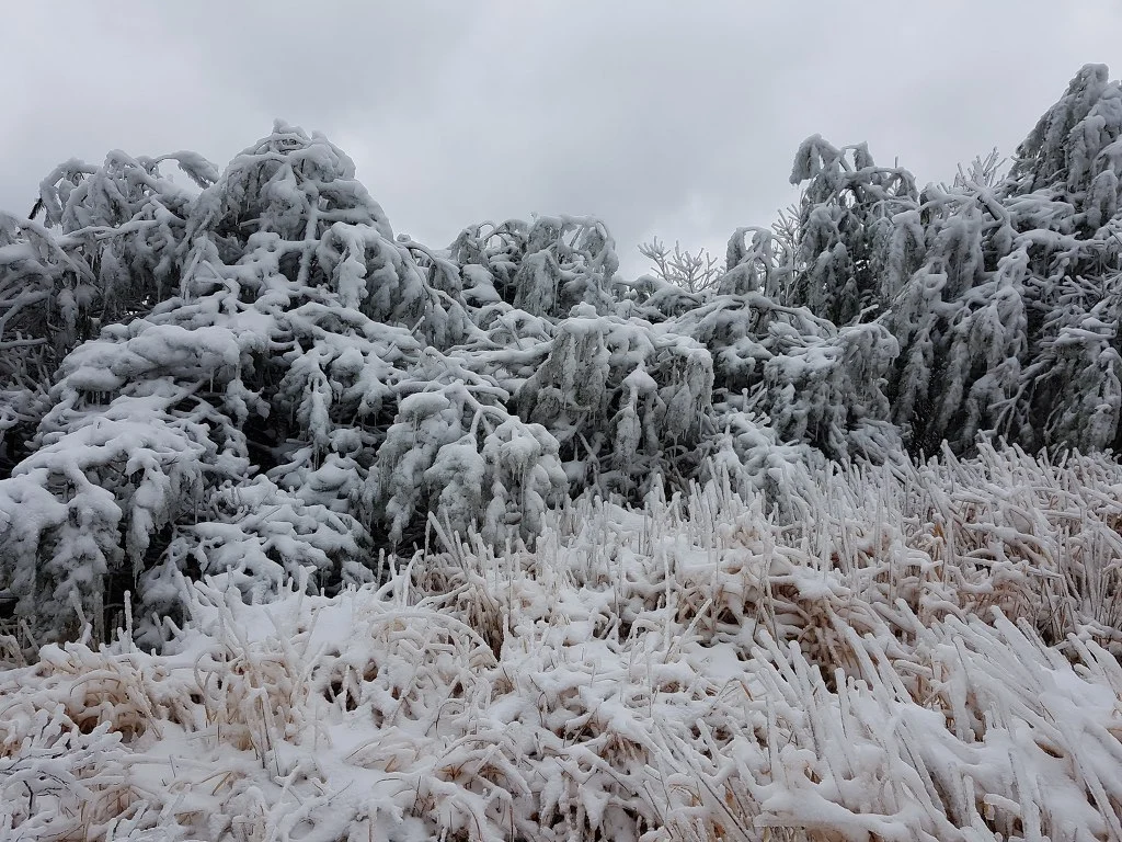 9943DC485AA50B930DBF59