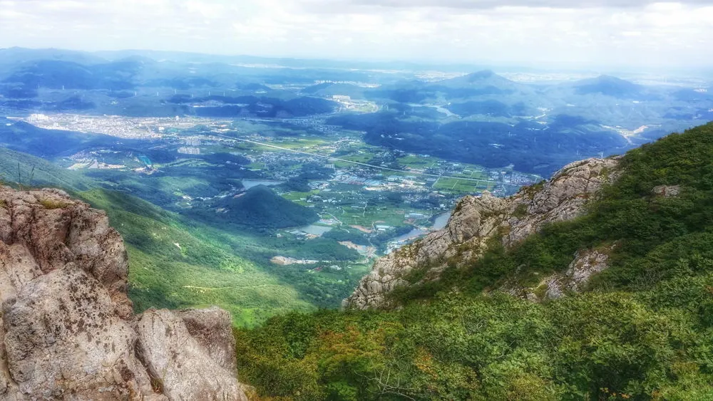 236D163C57D0229A0D7687