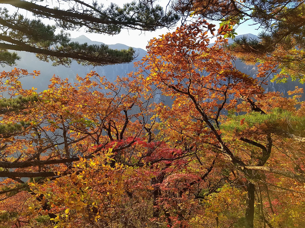 99FDF13359E8ADF310361D