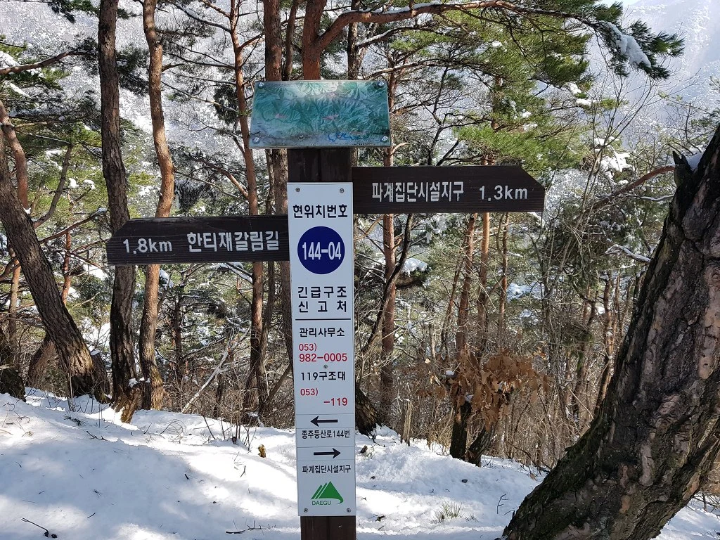 99561A3B5AA5B3FA271130