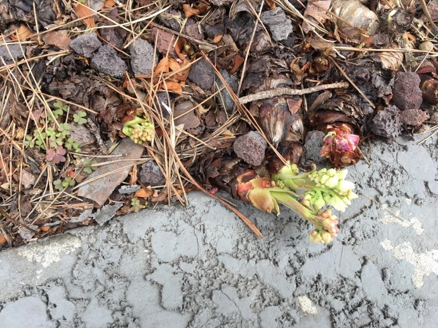 IMG_7571.jpg?type=w1