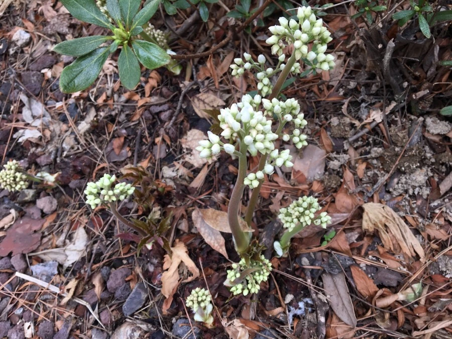 IMG_7568.jpg?type=w1