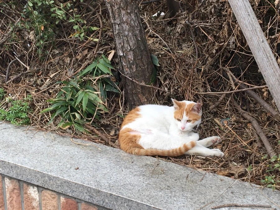 IMG_7572.jpg?type=w1