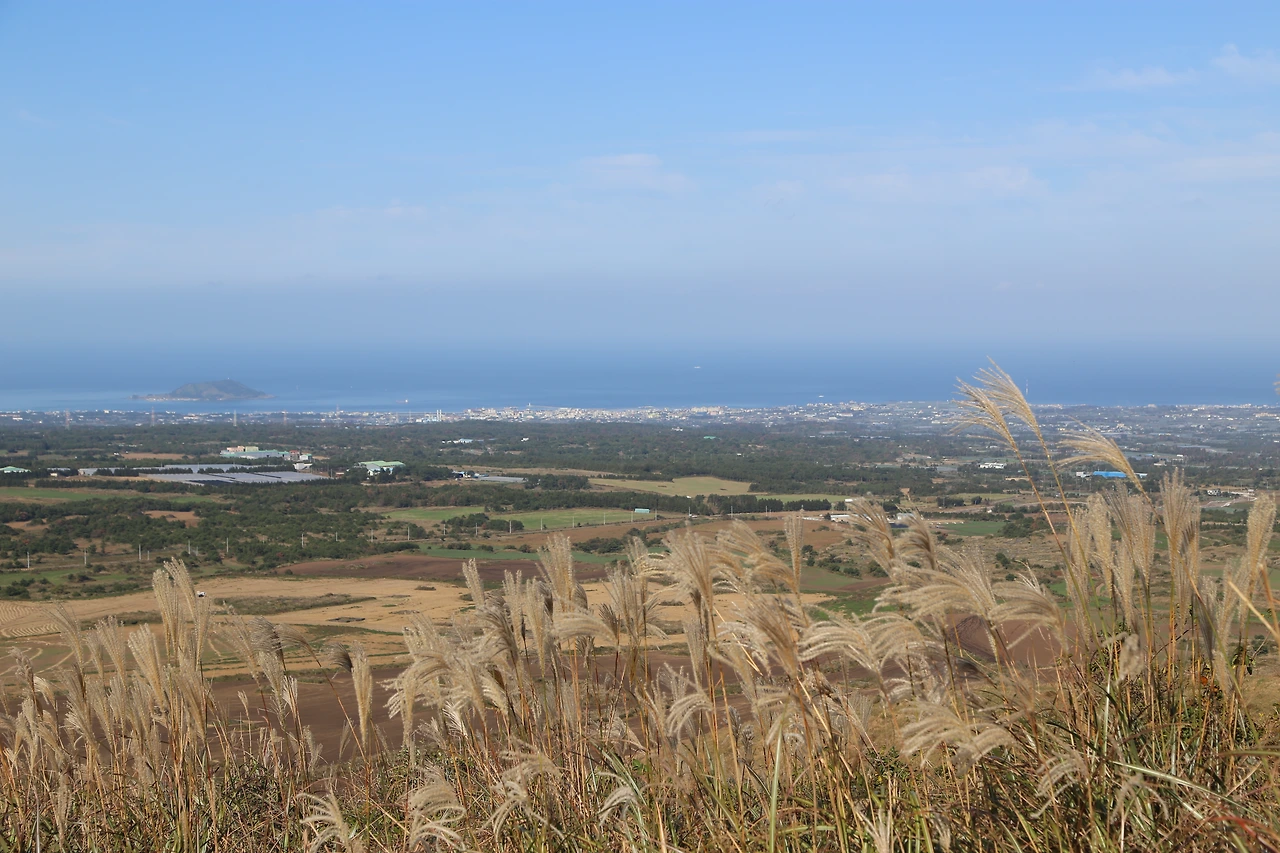 새별오름에서 바라본 비양도.JPG