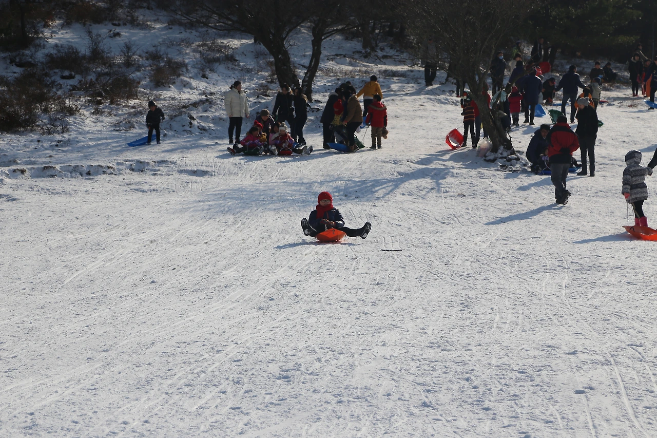 자연 눈썰매장 2.JPG