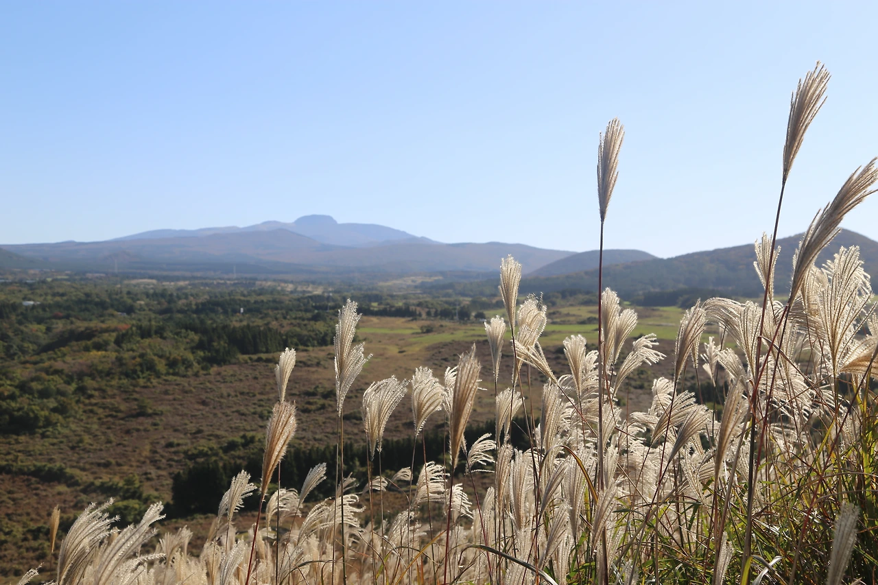 새별오름에서 바라본 한라산.JPG