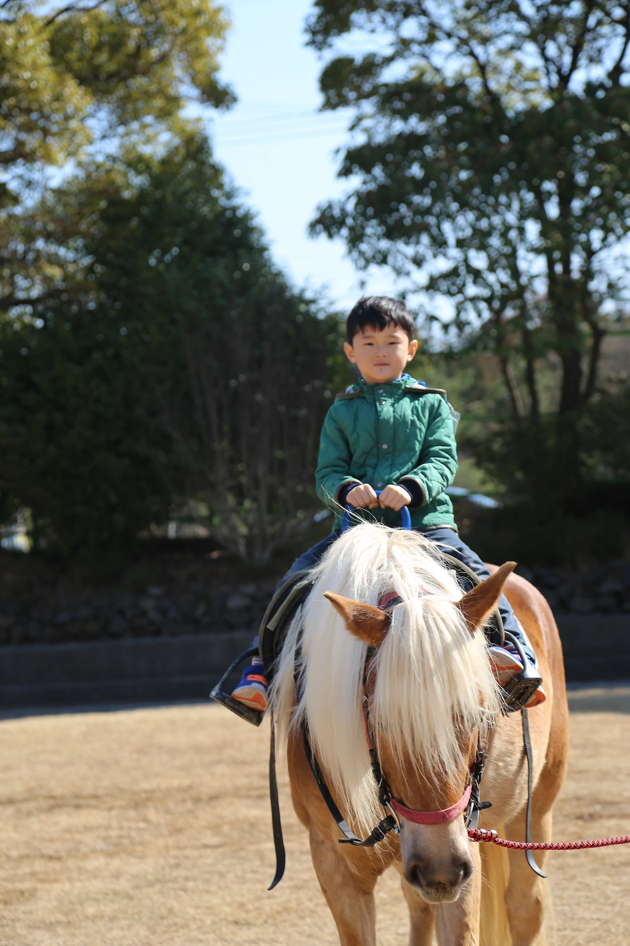 말을 탄 작은 아이.JPG