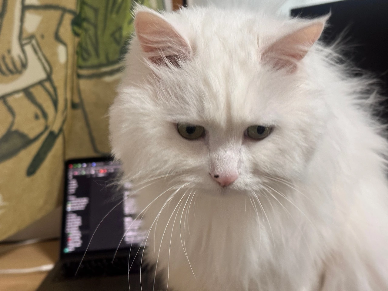 KakaoTalk_Photo_2025-12-11-08-35-20 003.jpeg