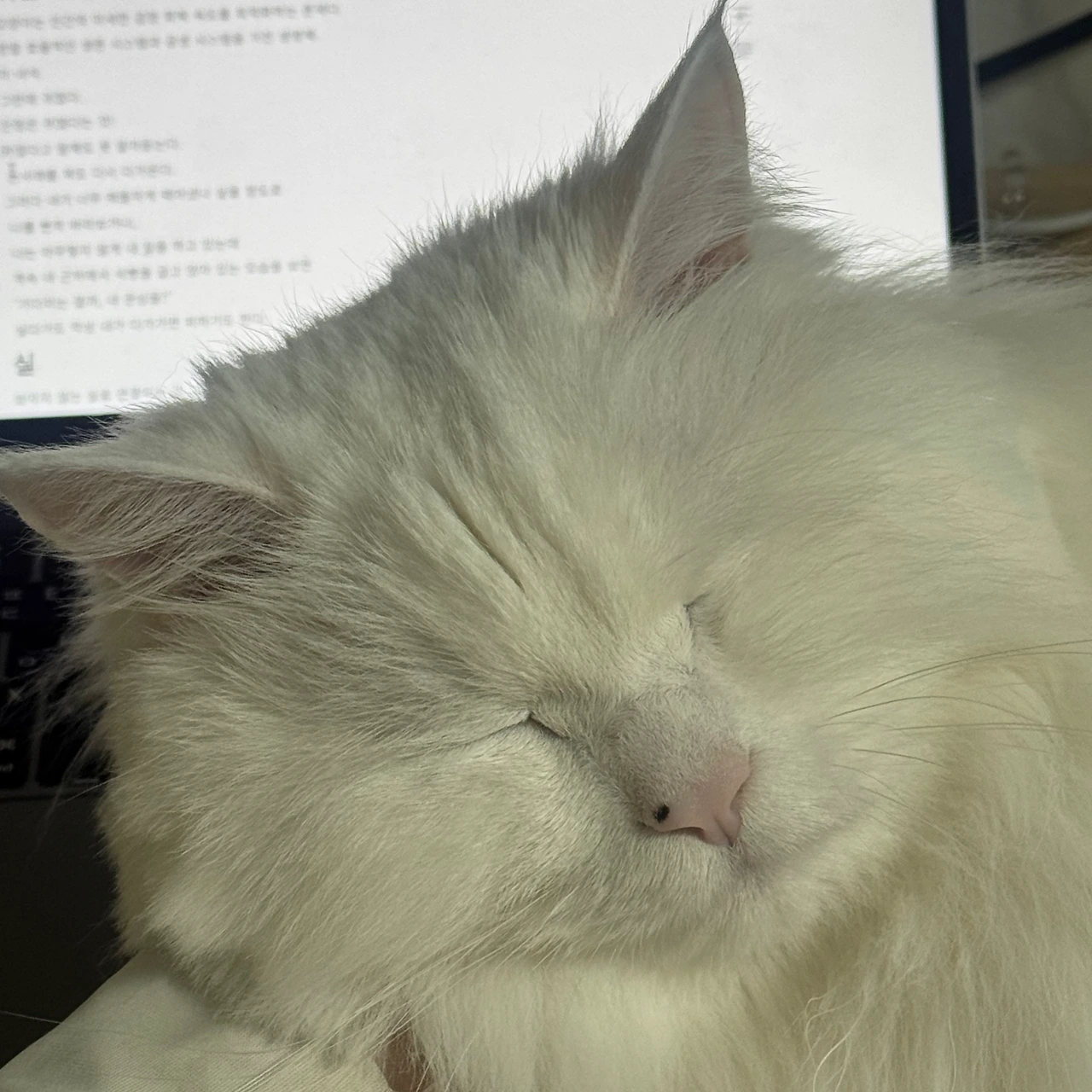 KakaoTalk_Photo_2025-12-11-08-39-04 001.jpeg