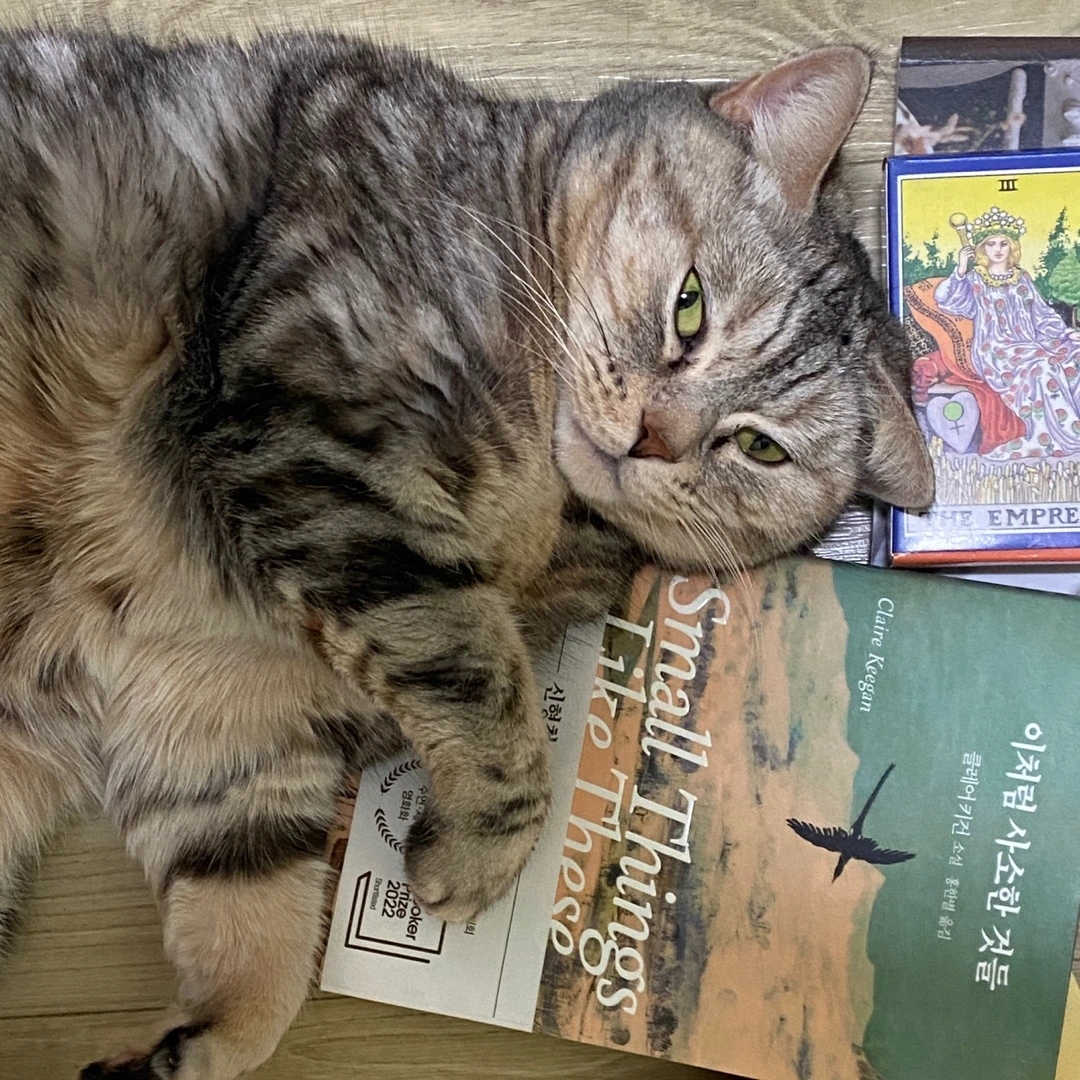 KakaoTalk_Photo_2024-01-19-10-58-02 001.jpeg