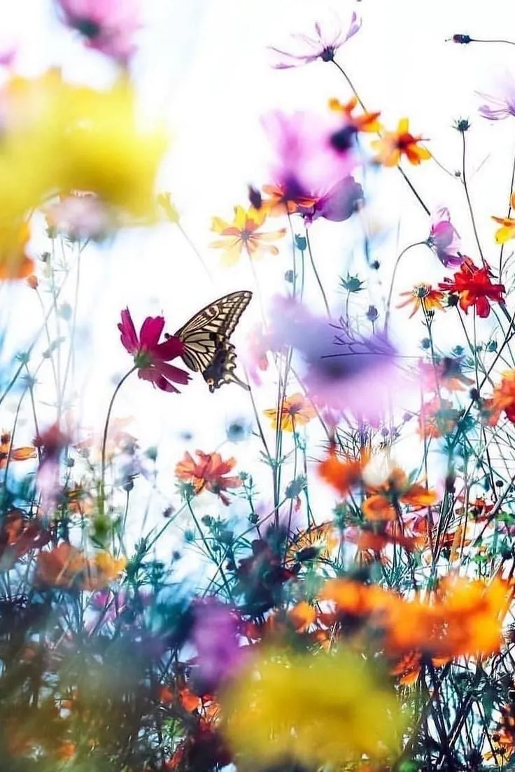 Beauty in all things_.jpeg