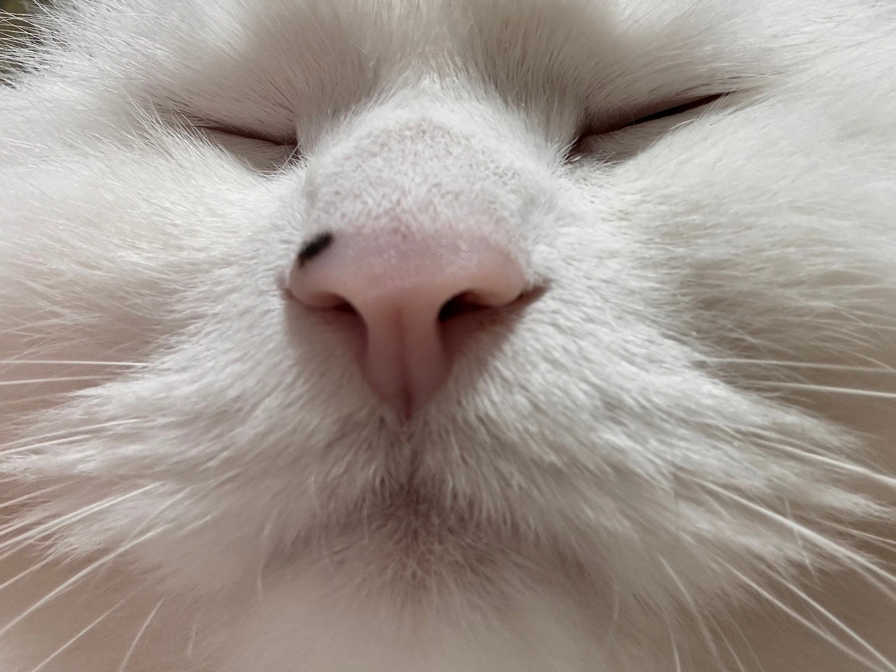 KakaoTalk_Photo_2025-12-11-08-35-19 001.jpeg